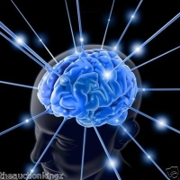 brain plusus