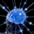 brain plusus