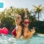 Pool Party