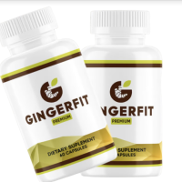 GingerFit Kaufen de