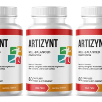 Artizynt Erfahrungen