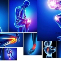 ForestMountainFarmsCBD