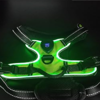 Red Paws LED Harness