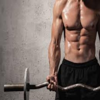 Aylor King