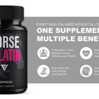 HorseGelatinReviewsUS