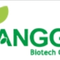 yangge