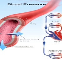 Novuglyca Blood Sugar Support