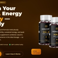 HoneyFil Male Performance Gummies