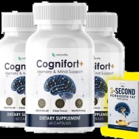 cognifortplus