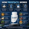 thewebprostacyl