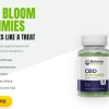 Balance Bloom CBD Gummies