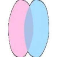 chatdansk