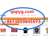 qiqiygcom