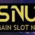 PPSNUSA
